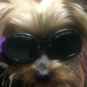 Meet your Posher, Ray